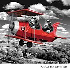 Come fly with me