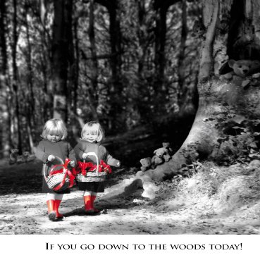 If you go down to the woods today