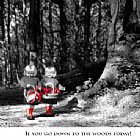 If you go down to the woods today